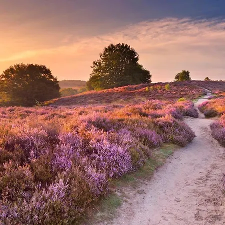 Cozy Veluwe Met Hottub