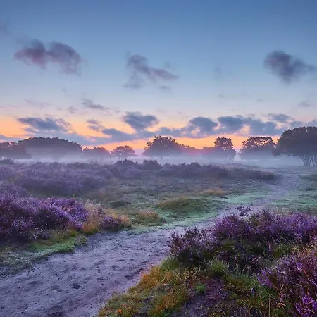 Alpesi faház Cozy Veluwe Met Hottub Putten