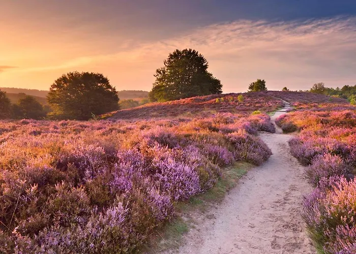 Cozy Veluwe Met Hottub